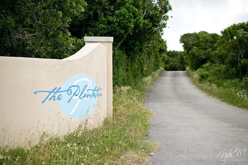 The Plantation Port Elizabeth Exterior foto